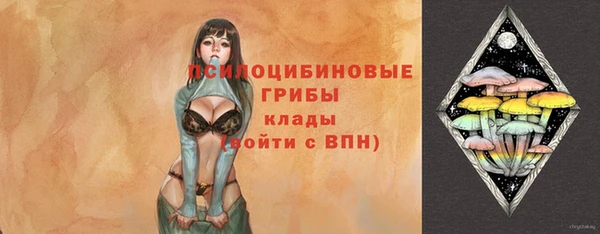apvp Алзамай