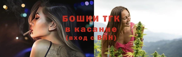 мет Алексин