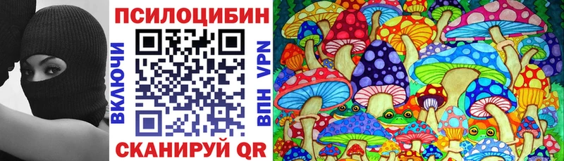 Псилоцибиновые грибы Psilocybe  купить наркотик  Новоуральск 